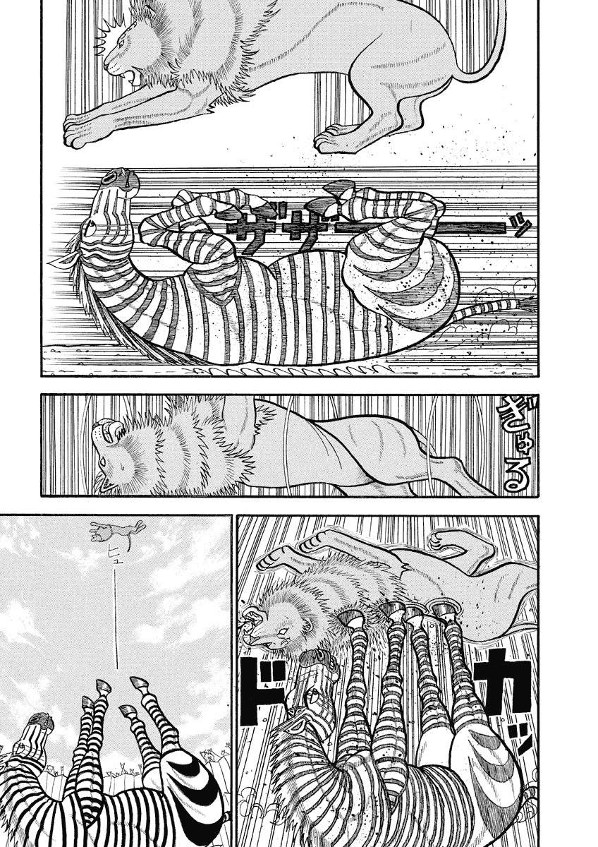 第144话泽布拉的猛攻4