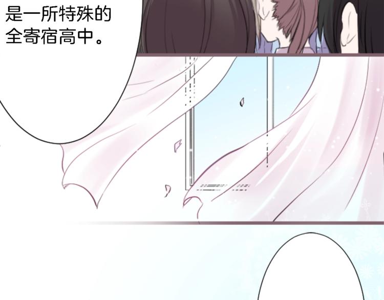 第1话 命运的相遇4