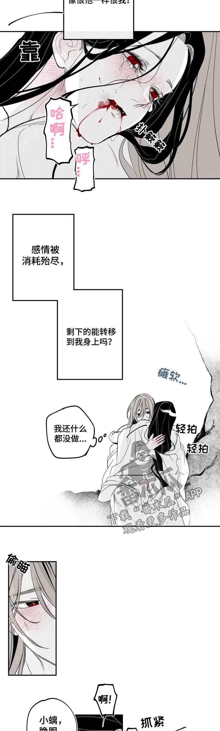 第54章：你会绝望吗？2
