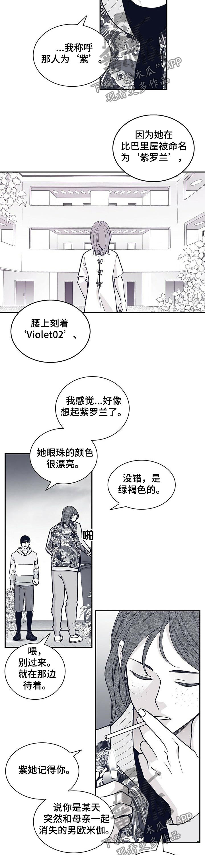 第152章：紫3