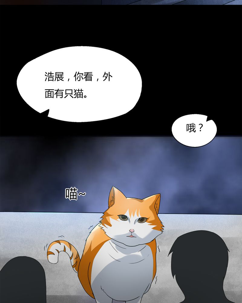 第68章：茹猫饮血（上）3