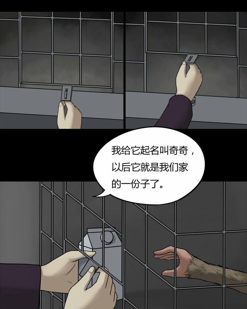 第84章：猴知猴觉（上）4