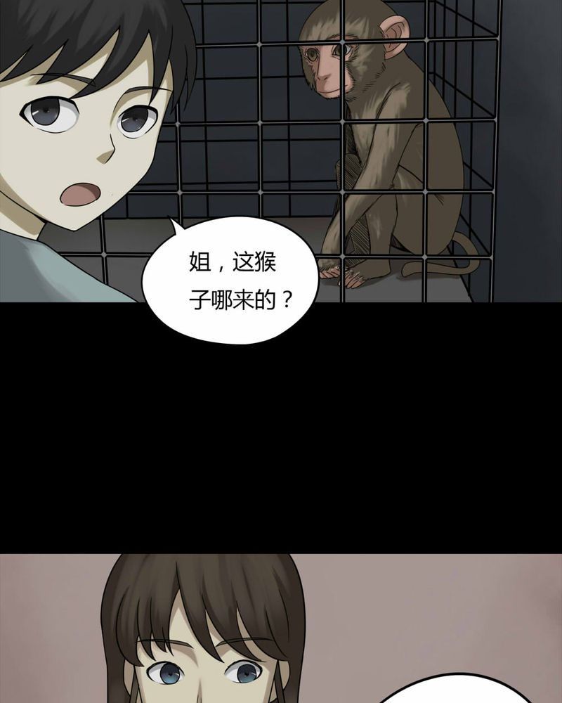 第84章：猴知猴觉（上）2