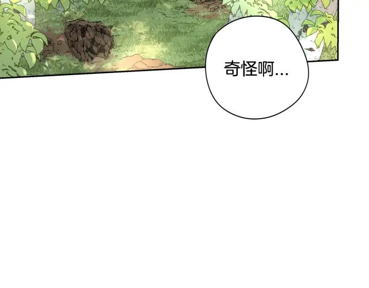 第21话 木香的源头4