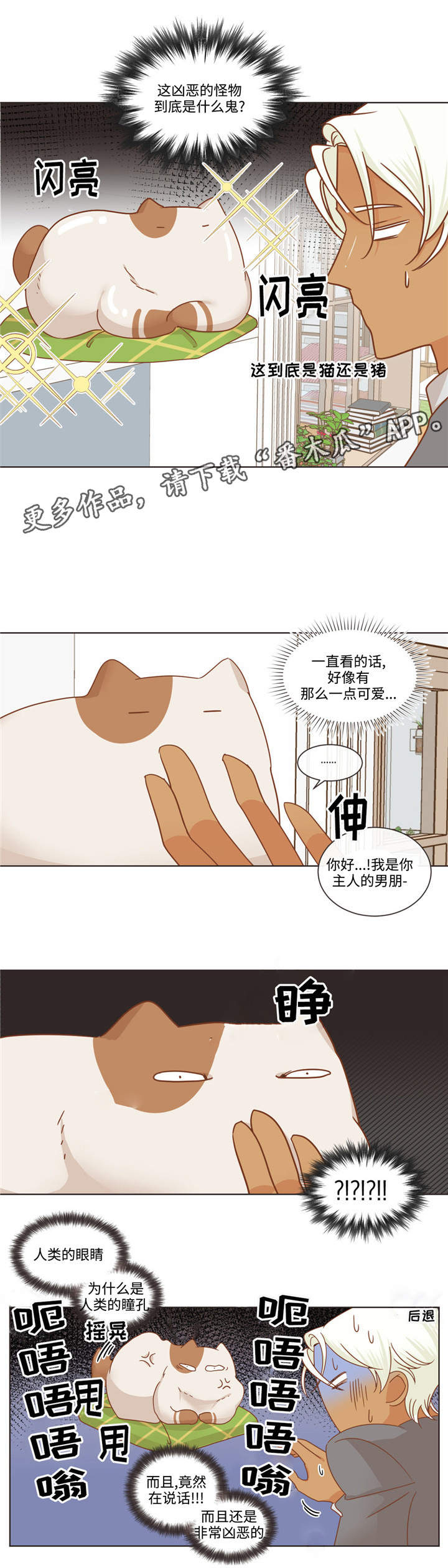 第66章：多滴1