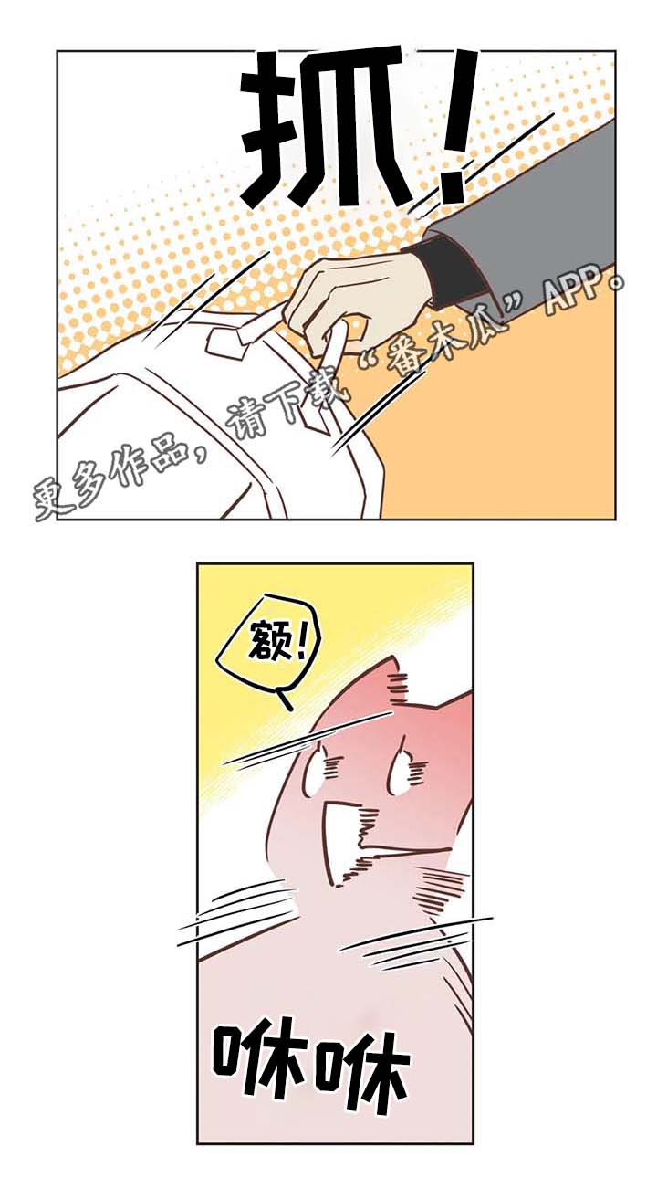 第104章：冤大头2