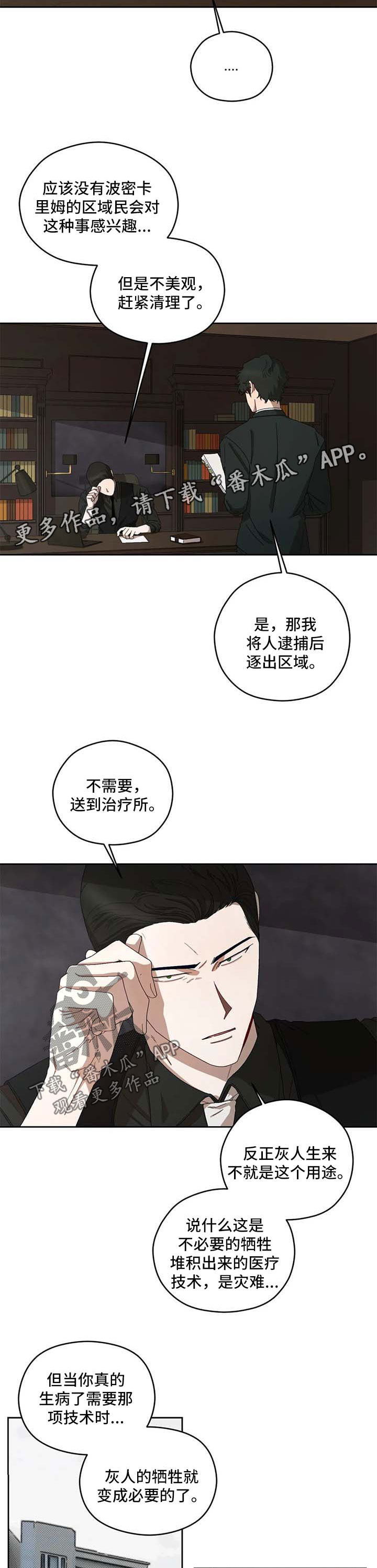 第31章：报告1