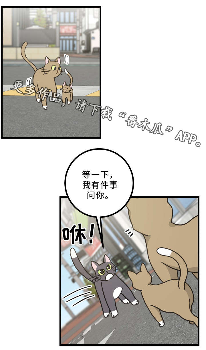 第32章：晕倒0
