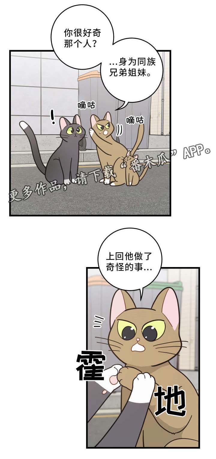 第32章：晕倒3