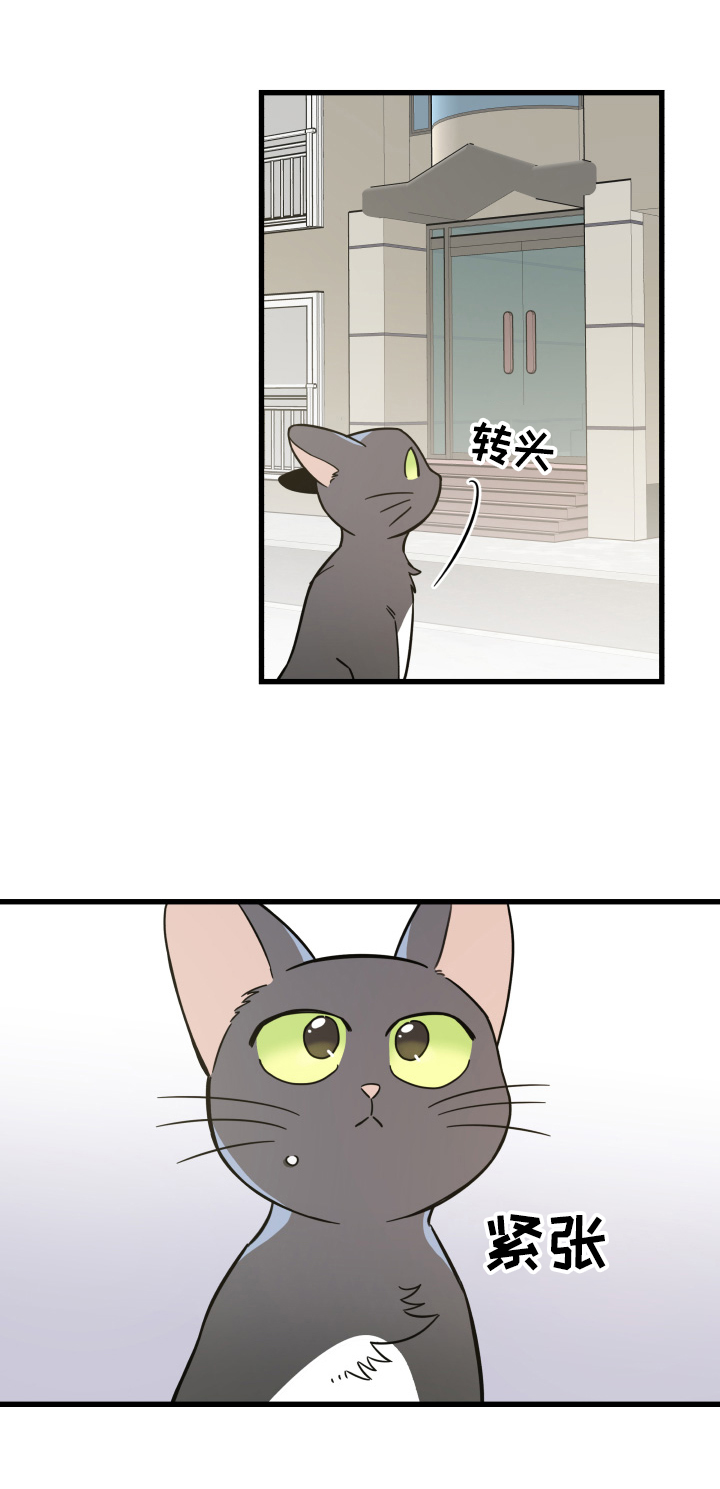 第70章：安慰2