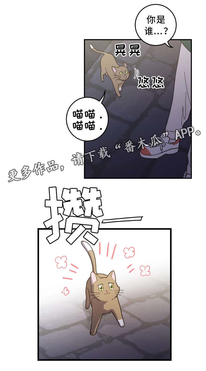 第15章：抓伤0