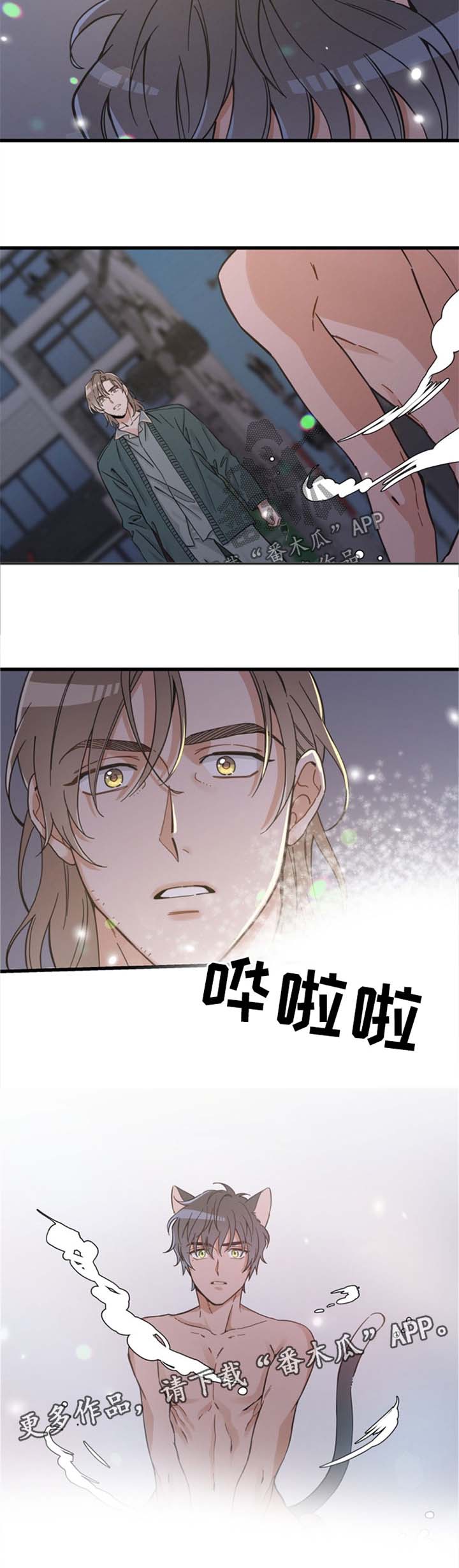 第82章：变人1