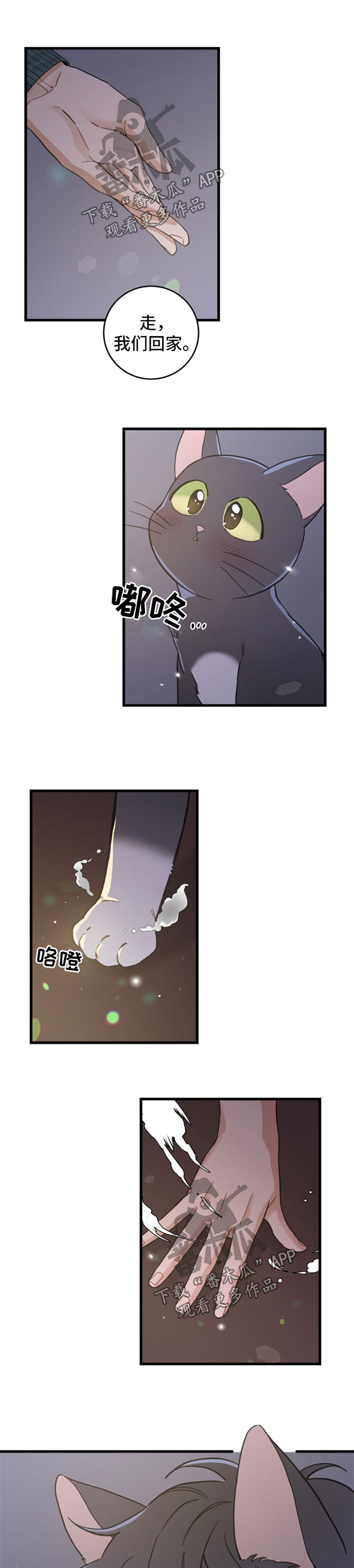 第82章：变人0
