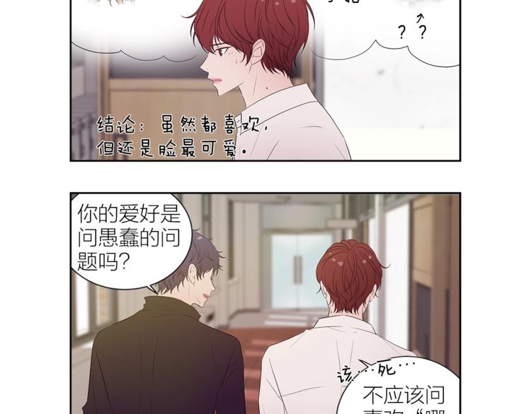 番外 变成喵了？4