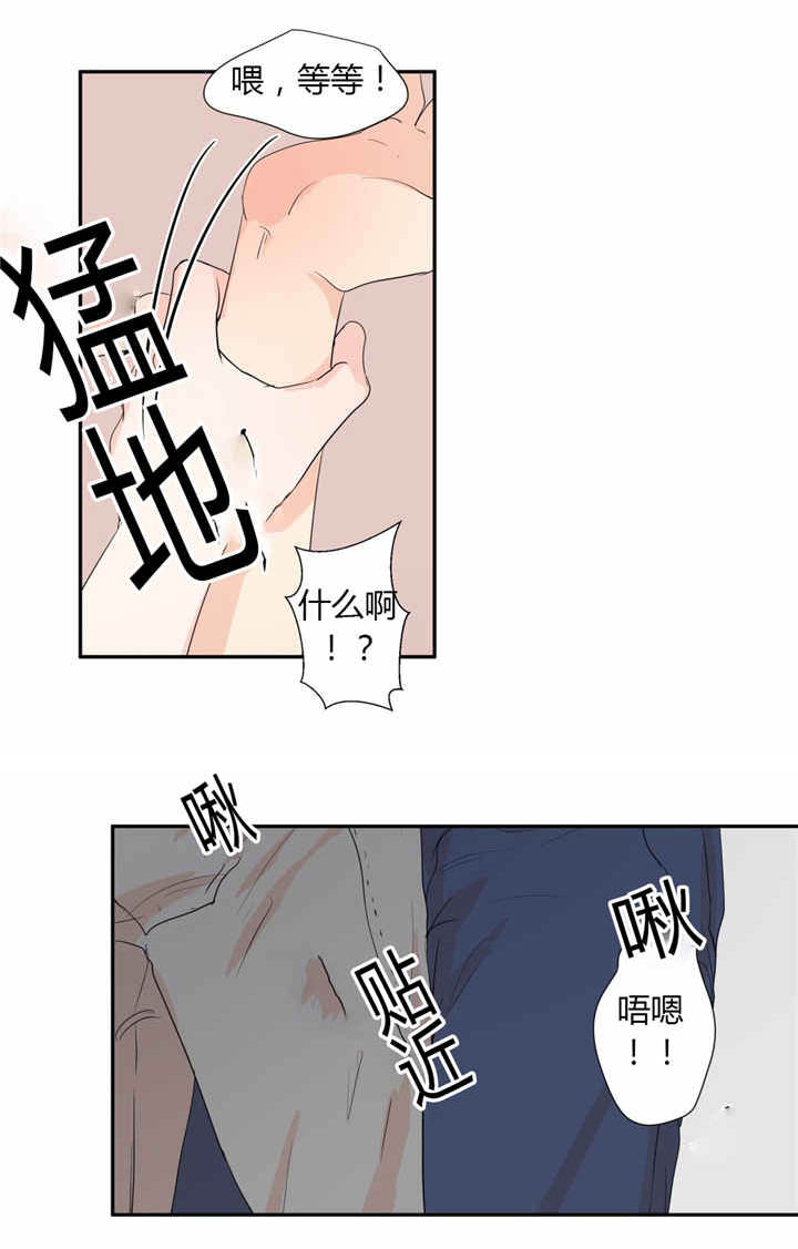 第40章：我喜欢你2