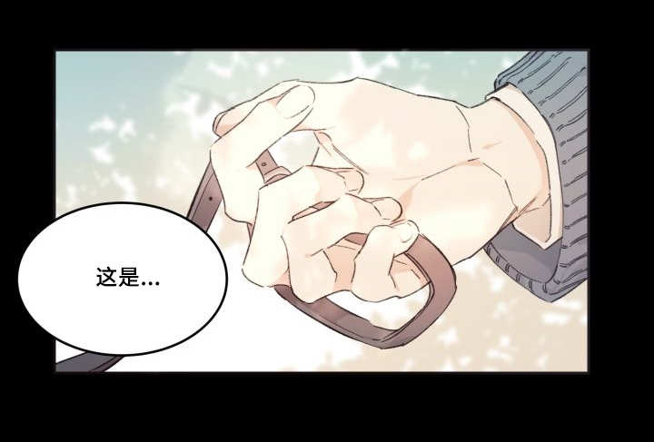 第45章：到底是谁3