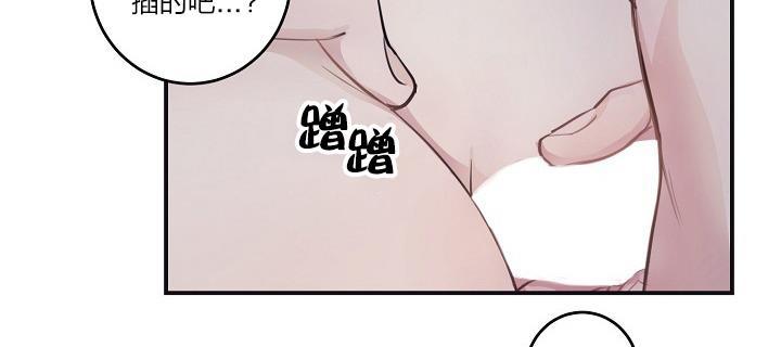 外传13