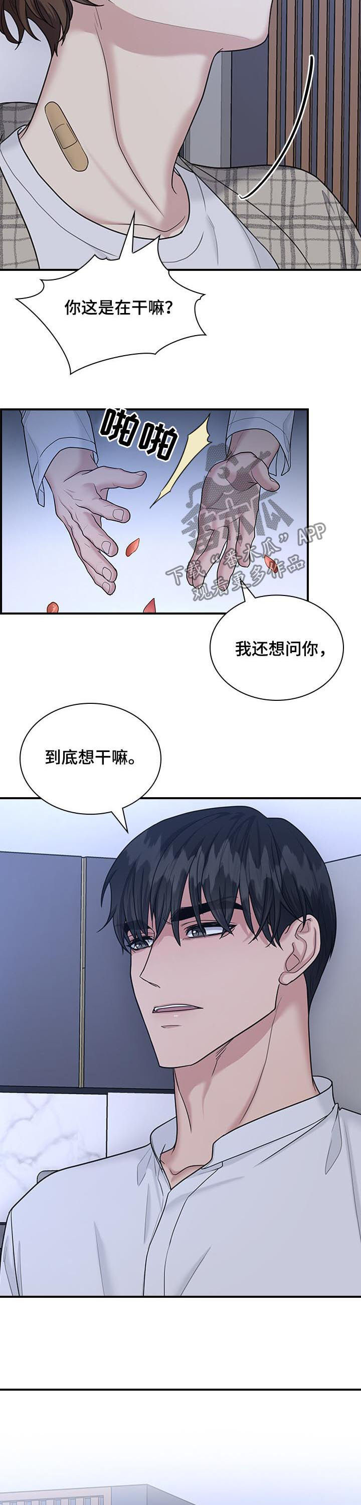 第52章：不就是为了这个4
