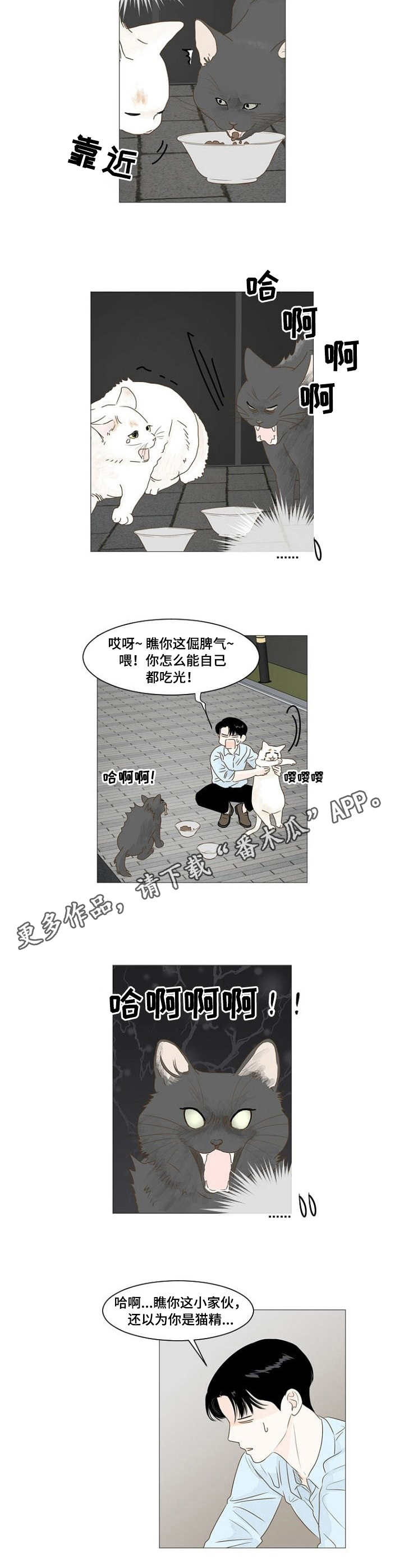 第16章：喂猫4