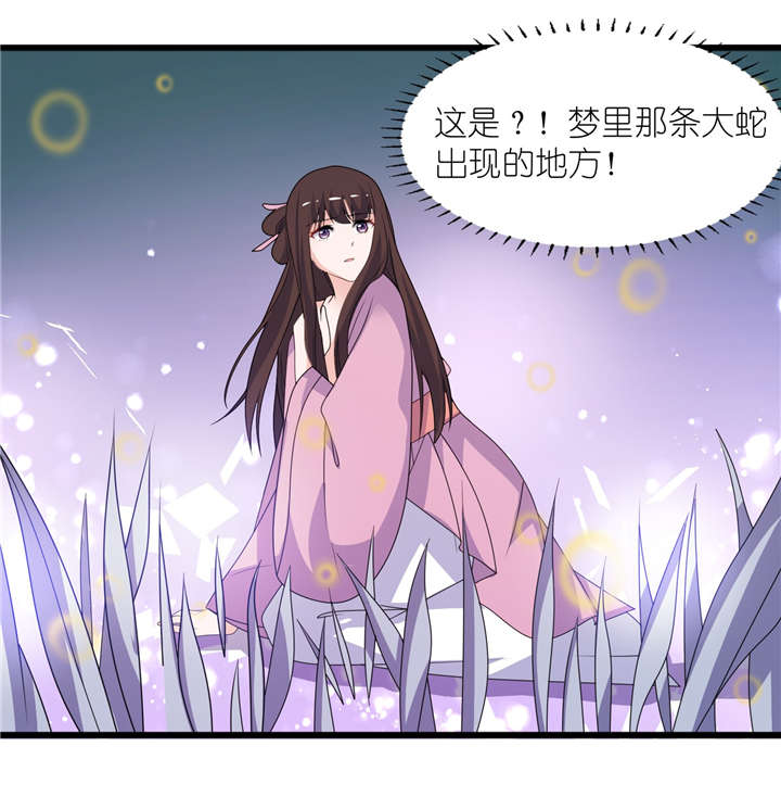 第64章：明明是你！0