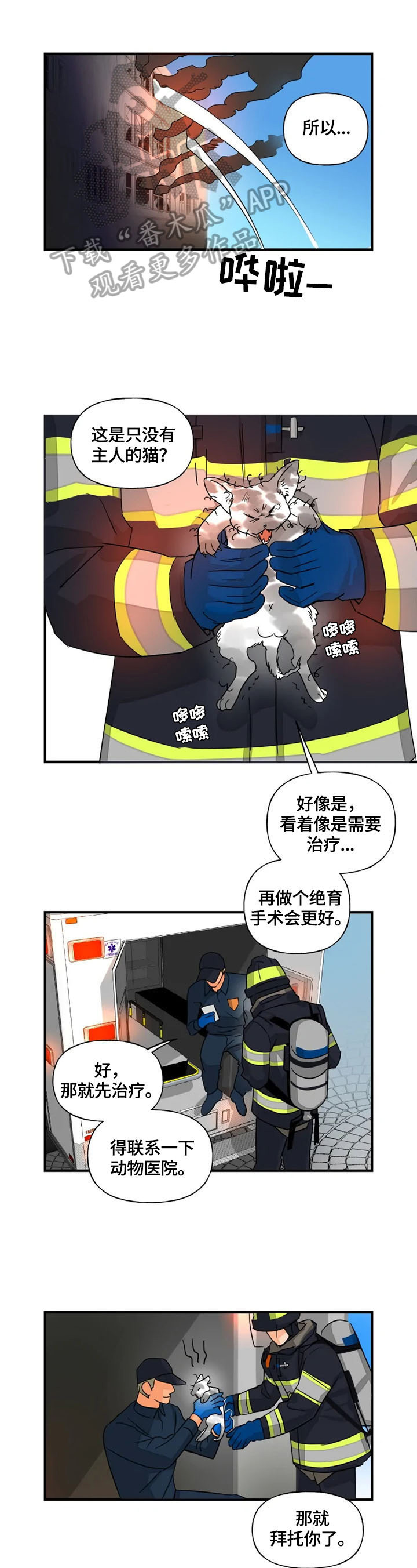 第11章：取名4