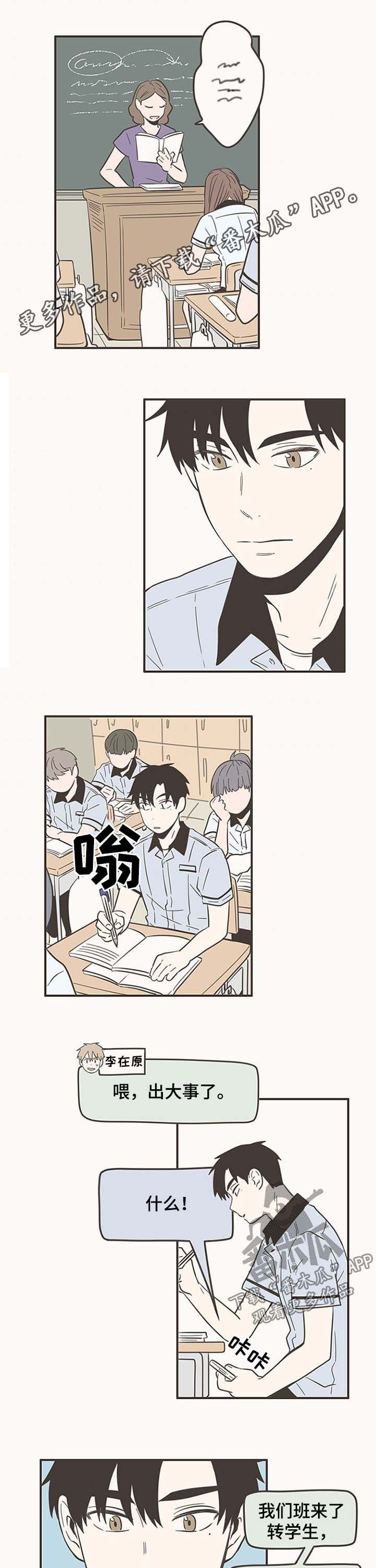第51章：闪亮的家伙0