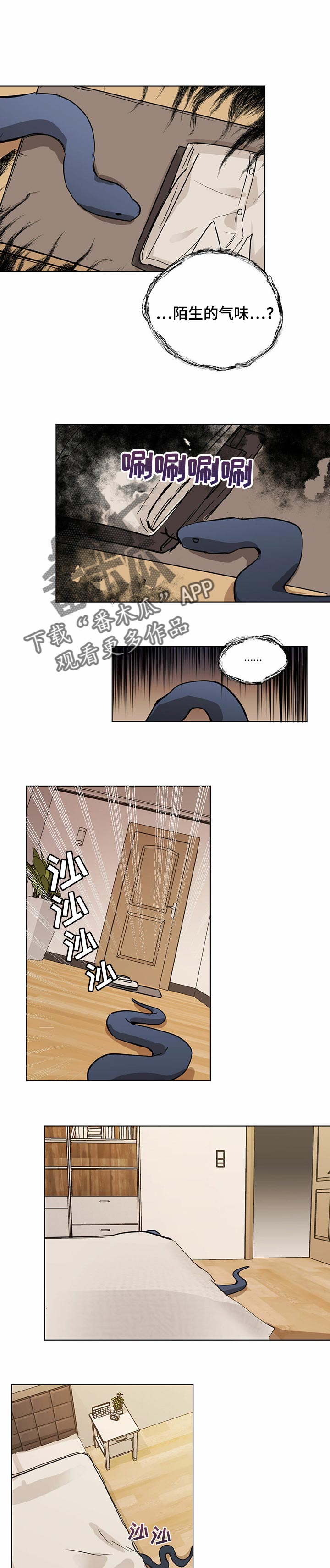第15章：陌生的气味4