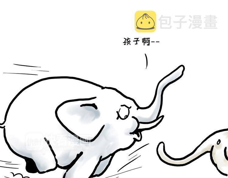 舞狮迎新年4
