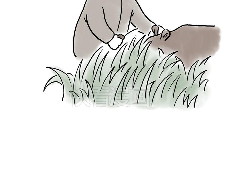 小鸡炖蘑菇3