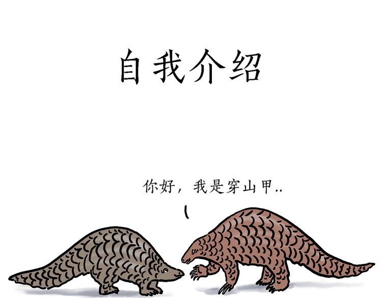 保护八戒2