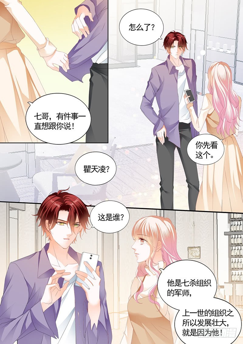 放心等我回来2